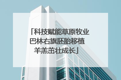 科技赋能草原牧业 巴林右旗胚胎移植羊羔茁壮成长