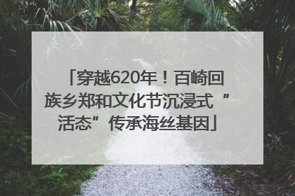 穿越620年！百崎回族乡郑和文化节沉浸式“活态”传承海丝基因