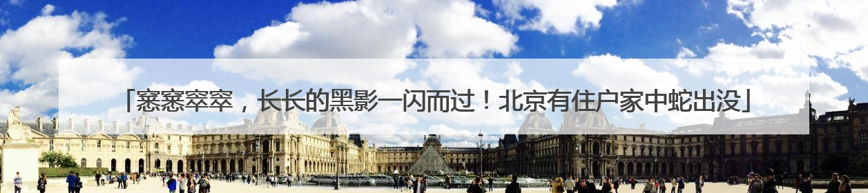 窸窸窣窣，长长的黑影一闪而过！北京有住户家中蛇出没