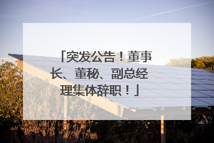 突发公告！董事长、董秘、副总经理集体辞职！