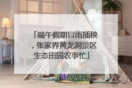 端午假期冒雨插秧，张家界黄龙洞景区生态田园农事忙