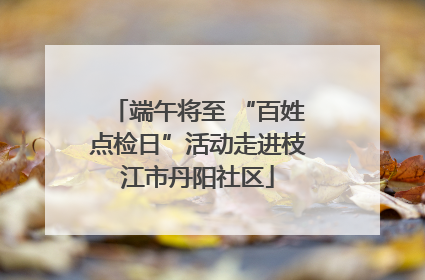 端午将至 “百姓点检日”活动走进枝江市丹阳社区