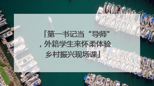 第一书记当“导师”，外籍学生来怀柔体验乡村振兴现场课
