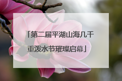 第二届平湖山海几千重泼水节璀璨启幕