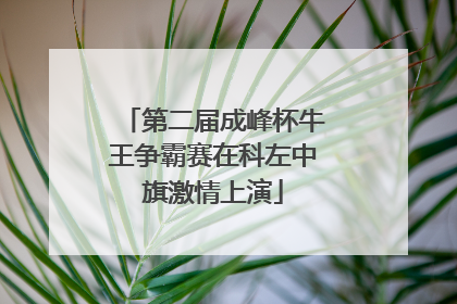 第二届成峰杯牛王争霸赛在科左中旗激情上演