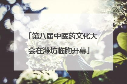 第八届中医药文化大会在潍坊临朐开幕