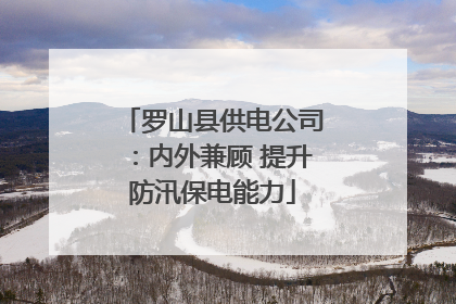 罗山县供电公司：内外兼顾 提升防汛保电能力