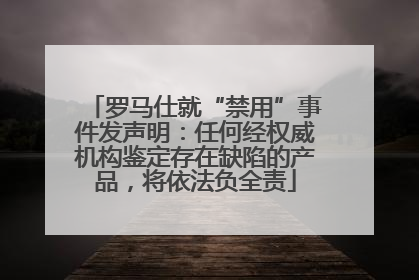 罗马仕就“禁用”事件发声明：任何经权威机构鉴定存在缺陷的产品，将依法负全责