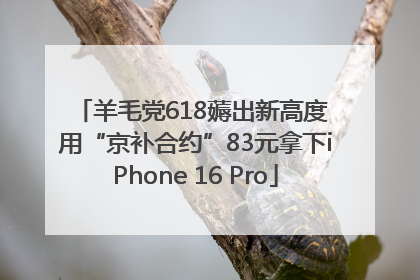 羊毛党618薅出新高度 用“京补合约”83元拿下iPhone 16 Pro