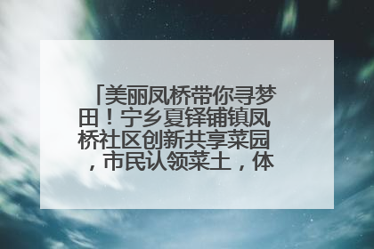 美丽凤桥带你寻梦田！宁乡夏铎铺镇凤桥社区创新共享菜园，市民认领菜土，体验耕种收获乐趣