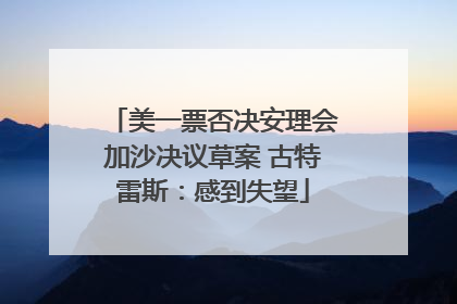美一票否决安理会加沙决议草案 古特雷斯：感到失望
