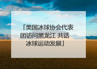 美国冰球协会代表团访问黑龙江 共话冰球运动发展