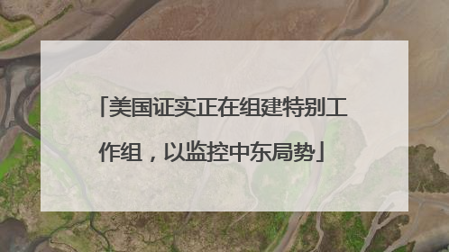 美国证实正在组建特别工作组，以监控中东局势