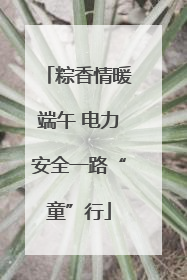 粽香情暖端午 电力安全一路“童”行