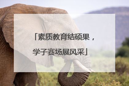 素质教育结硕果，学子赛场展风采