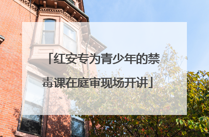 红安专为青少年的禁毒课在庭审现场开讲