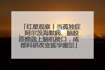 红星观察丨当孤独症、阿尔茨海默病、脑胶质瘤遇上脑机接口，成都科研改变医学图景
