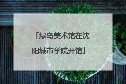 绿岛美术馆在沈阳城市学院开馆