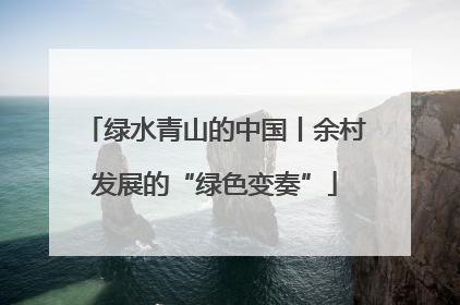 绿水青山的中国丨余村发展的“绿色变奏”