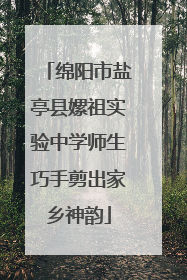 绵阳市盐亭县嫘祖实验中学师生巧手剪出家乡神韵
