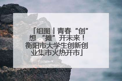 组图丨青春“创”想 “摊”开未来！衡阳市大学生创新创业集市火热开市