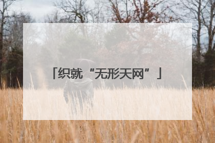 织就“无形天网”