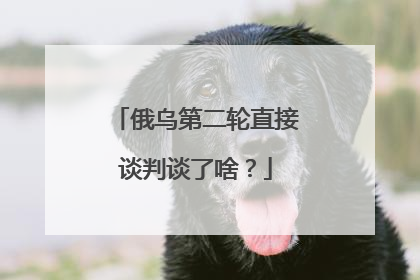 俄乌第二轮直接谈判谈了啥？