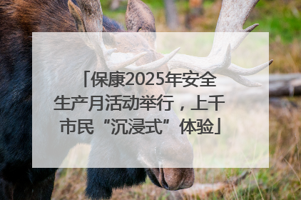 保康2025年安全生产月活动举行，上千市民“沉浸式”体验