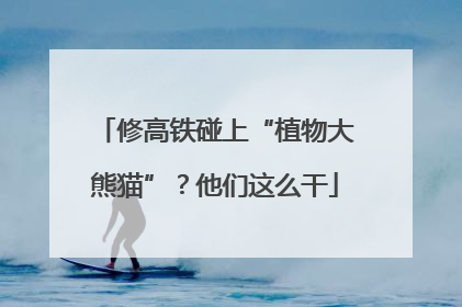 修高铁碰上“植物大熊猫”？他们这么干