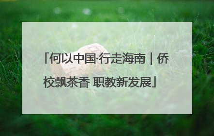 何以中国·行走海南｜侨校飘茶香 职教新发展