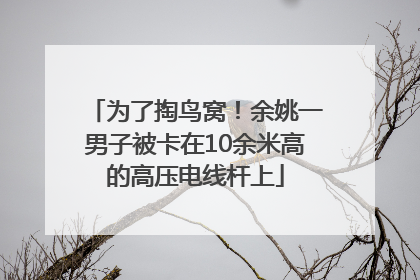 为了掏鸟窝！余姚一男子被卡在10余米高的高压电线杆上