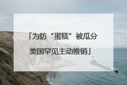 为防“蛋糕”被瓜分 美国罕见主动推销