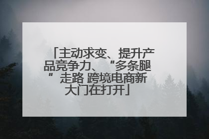 主动求变、提升产品竞争力、“多条腿”走路 跨境电商新大门在打开