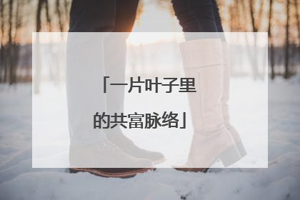 一片叶子里的共富脉络
