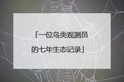 一位鸟类观测员的七年生态记录