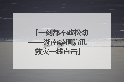 一刻都不敢松劲——湖南桑植防汛救灾一线直击
