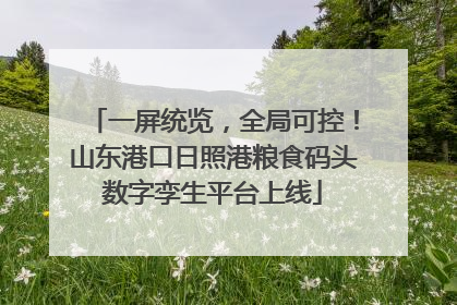 一屏统览，全局可控！山东港口日照港粮食码头数字孪生平台上线