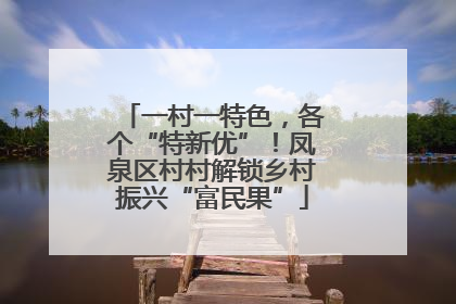 一村一特色，各个“特新优”！凤泉区村村解锁乡村振兴“富民果”