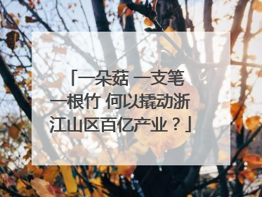 一朵菇 一支笔 一根竹 何以撬动浙江山区百亿产业？