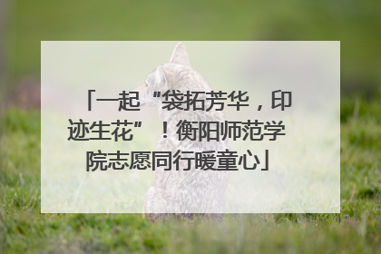 一起“袋拓芳华，印迹生花”！衡阳师范学院志愿同行暖童心