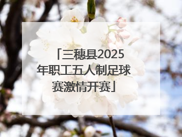 三穗县2025年职工五人制足球赛激情开赛
