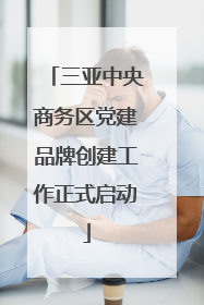 三亚中央商务区党建品牌创建工作正式启动