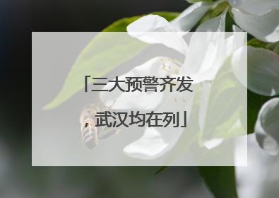 三大预警齐发，武汉均在列
