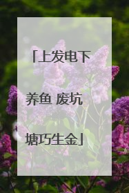 上发电下养鱼 废坑塘巧生金