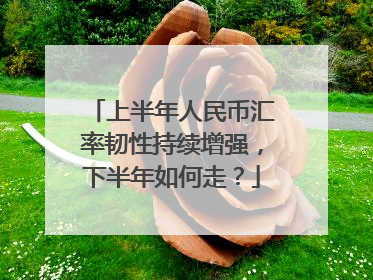 上半年人民币汇率韧性持续增强，下半年如何走？