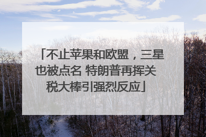 不止苹果和欧盟，三星也被点名 特朗普再挥关税大棒引强烈反应