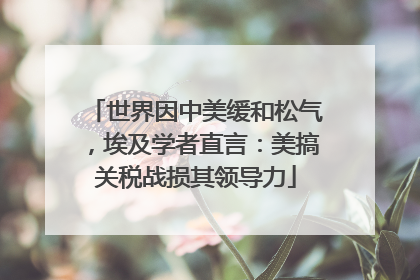 世界因中美缓和松气，埃及学者直言：美搞关税战损其领导力