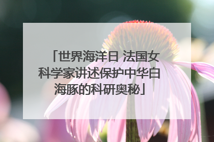 世界海洋日 法国女科学家讲述保护中华白海豚的科研奥秘