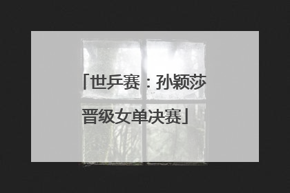 世乒赛：孙颖莎晋级女单决赛