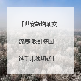 世赛新增项交流赛 吸引多国选手来穗切磋